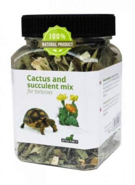 Kaktus- und Sukkulentenmix für Schildkröten 300ml